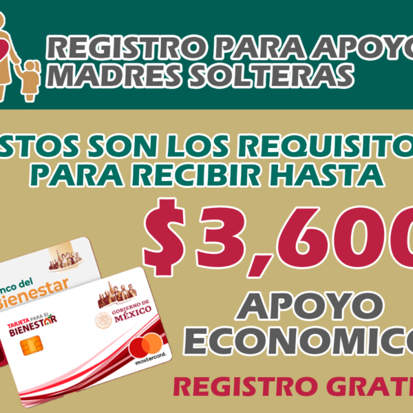 Donde acudir para ayuda madres solteras